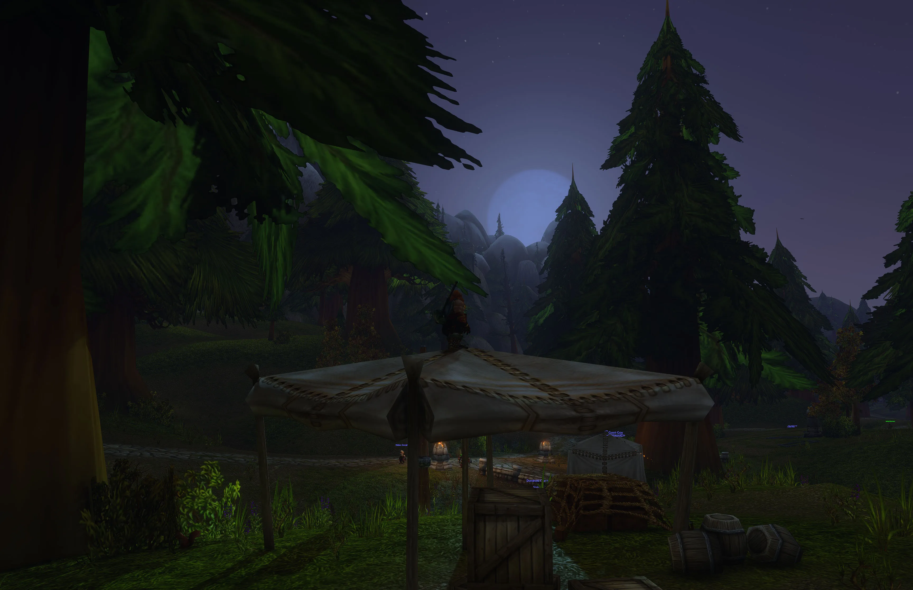 Nuir standing on the canopy near Thelsamar’s flight point, with the moon behind the pines.